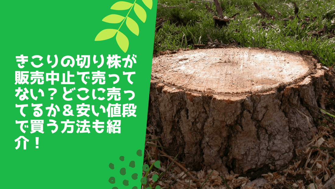 きこりの切り株が販売中止で売ってない？