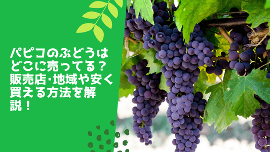 パピコのぶどうはどこに売ってる？販売店･地域や安く買える方法を解説！