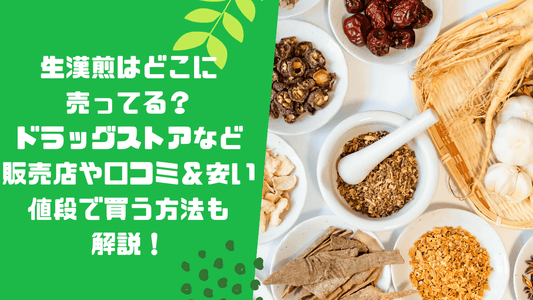 生漢煎はどこに売ってる？