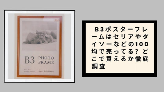 B3ポスターフレームはセリアやダイソーなどの100均
