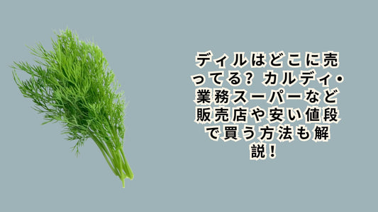 ディルはどこに売ってる？