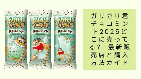 ガリガリ君チョコミント2025どこに売ってる？